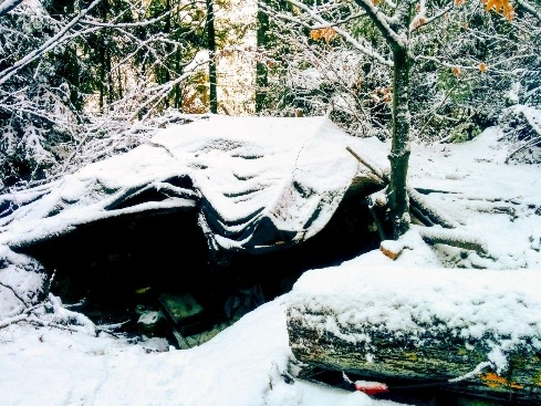 Waldhütte Michael Wulf im Schwarzwald